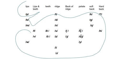 mouth map cons 500x250