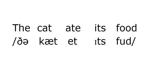 cat food 0