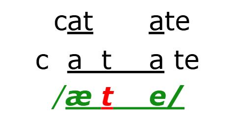 catfood 00
