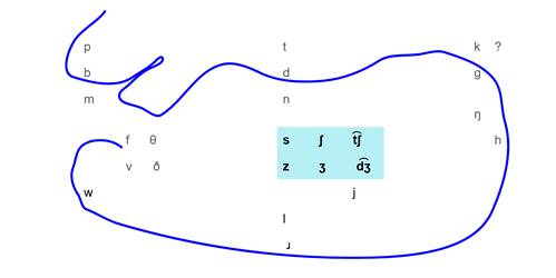 fricatives for 's'5x25