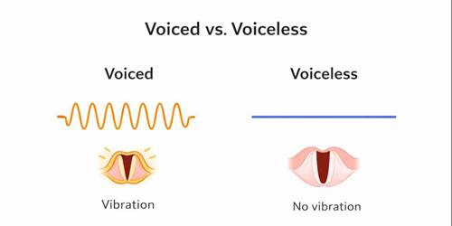 voicedvoiceless