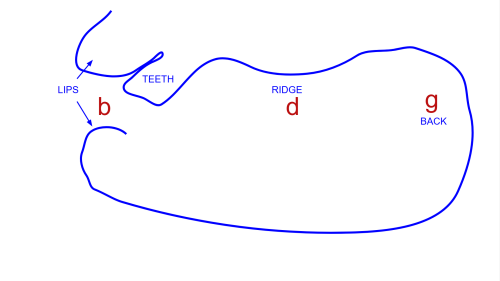 intromouthmap bdg5
