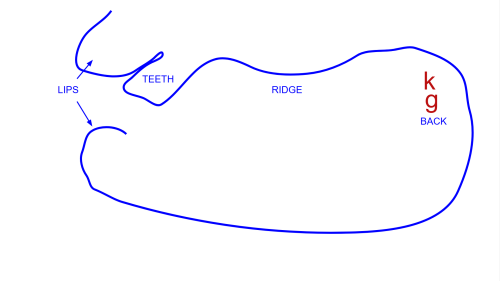 mapskg5