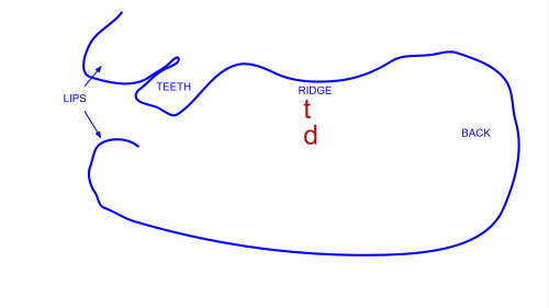 mapstd5
