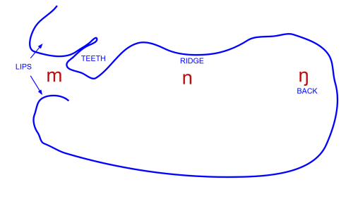 mapmnng500