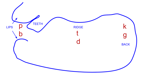 mappbtdkg1500